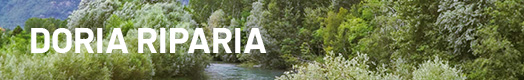 Visite du parc naturel de Doria Riparia